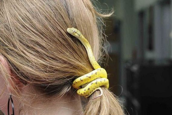 funny-pictures-454