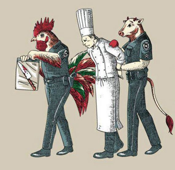 funny-pictures-455