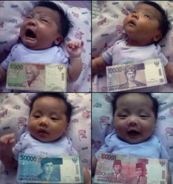 funny-pictures-455