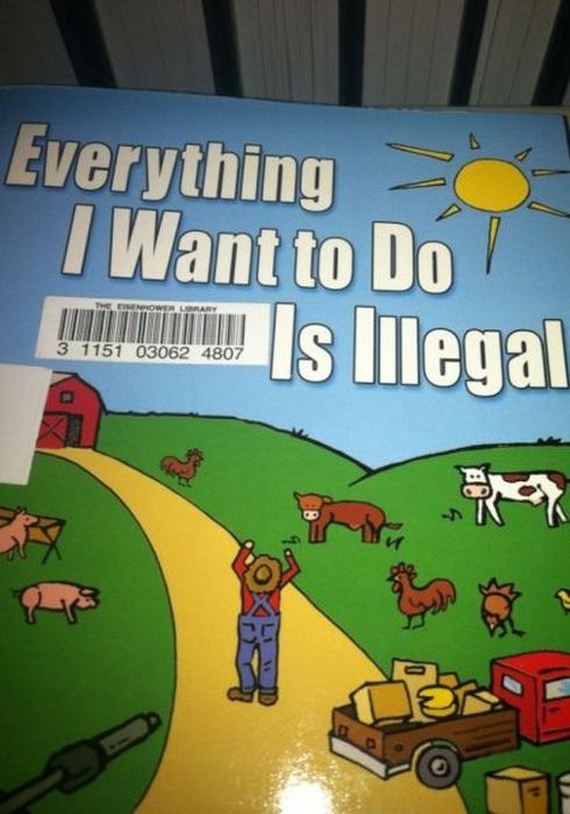 funny-pictures-455