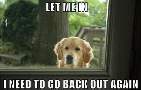 funny-pictures-455