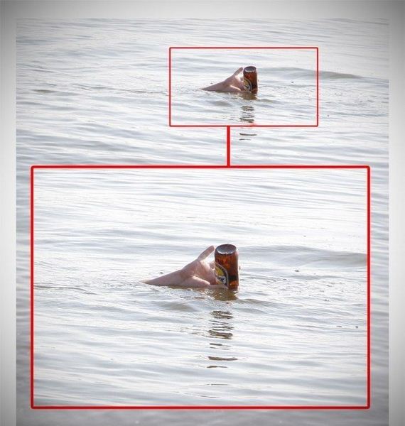 funny-pictures-455
