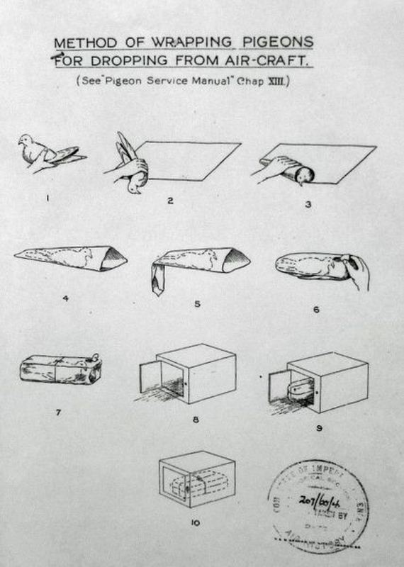 funny-pictures-455