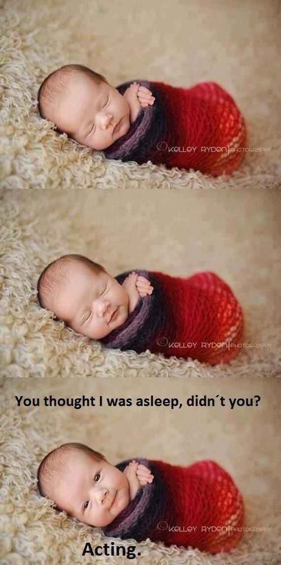funny-pictures-456