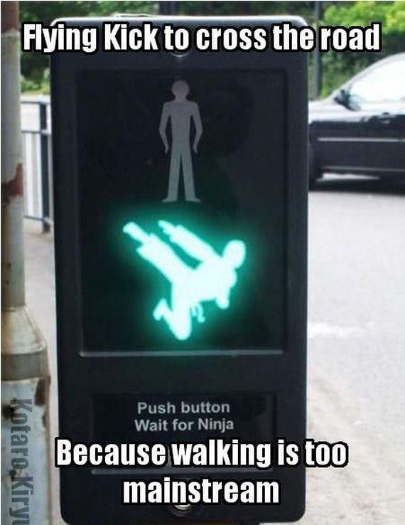 funny-pictures-456