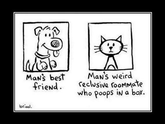 funny-pictures-456