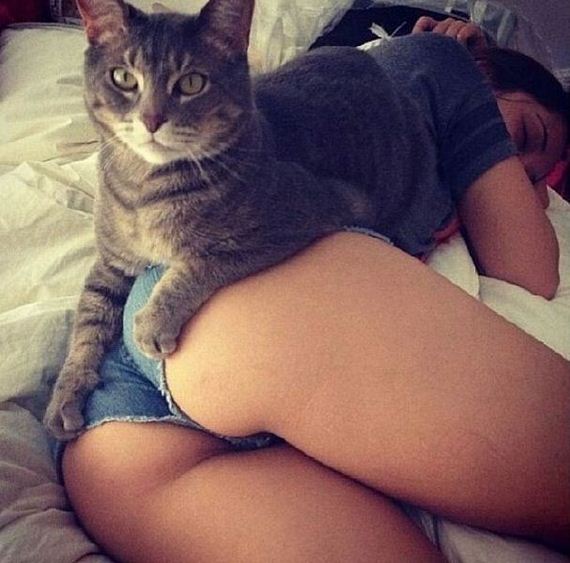 funny-pictures-456