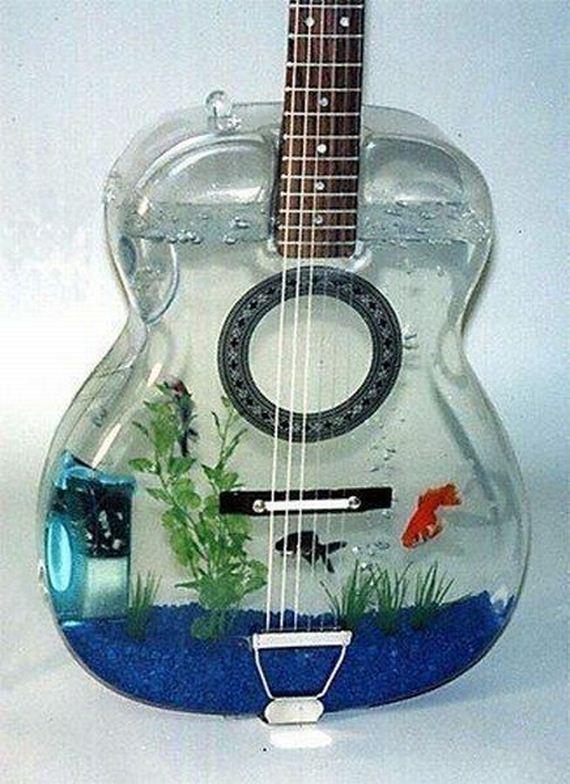 funny-pictures-456