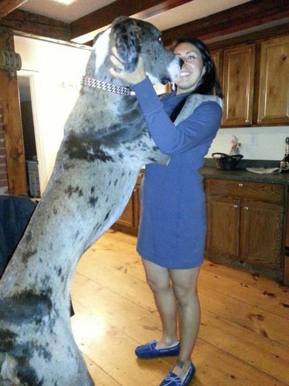 funny-pictures-457
