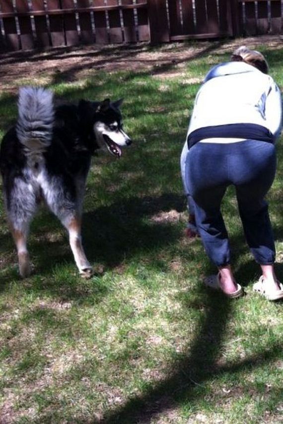 funny-pictures-457