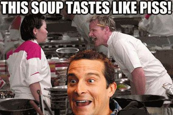 funny-pictures-457