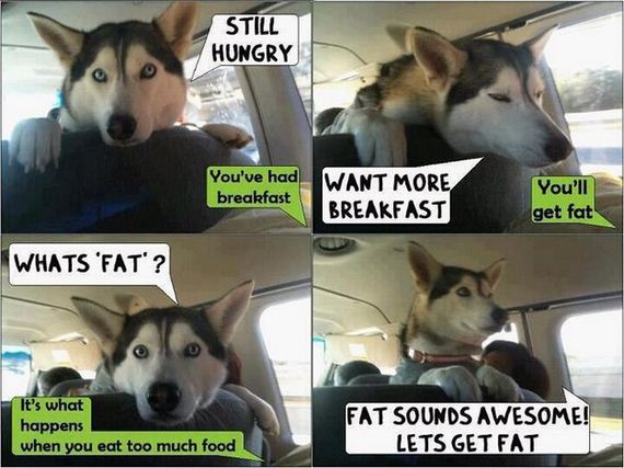 funny-pictures-457