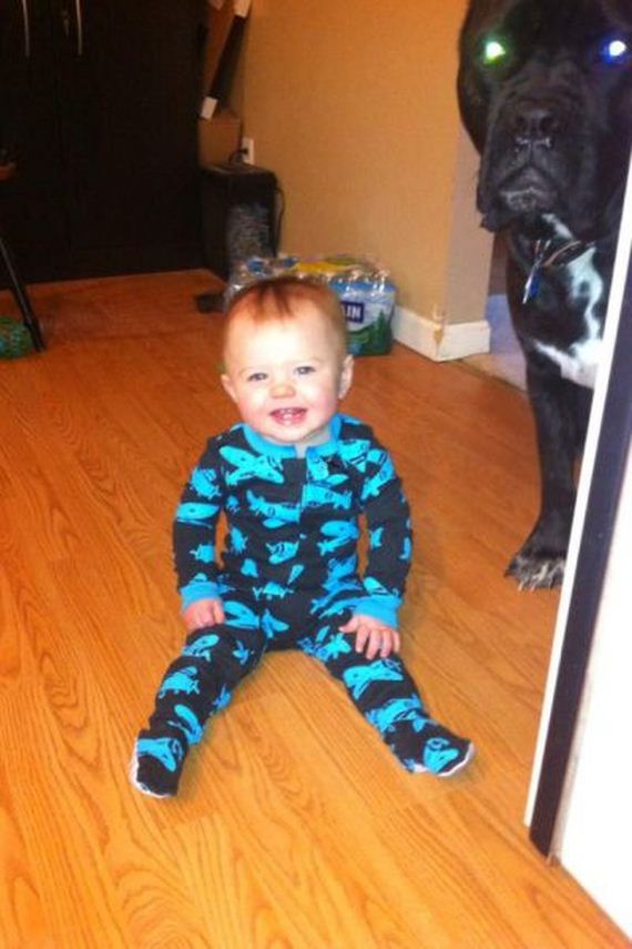 funny-pictures-457