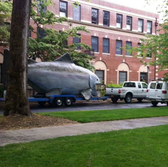 funny-pictures-457
