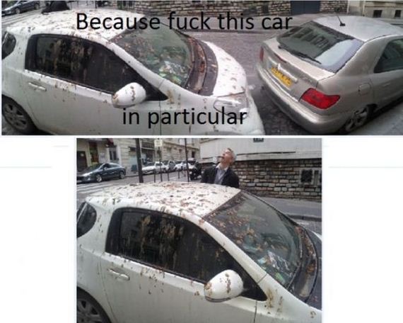 funny-pictures-458