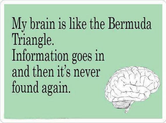 funny-pictures-458