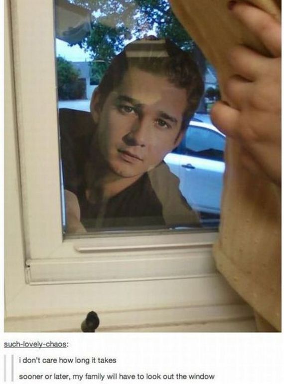 funny-pictures-458