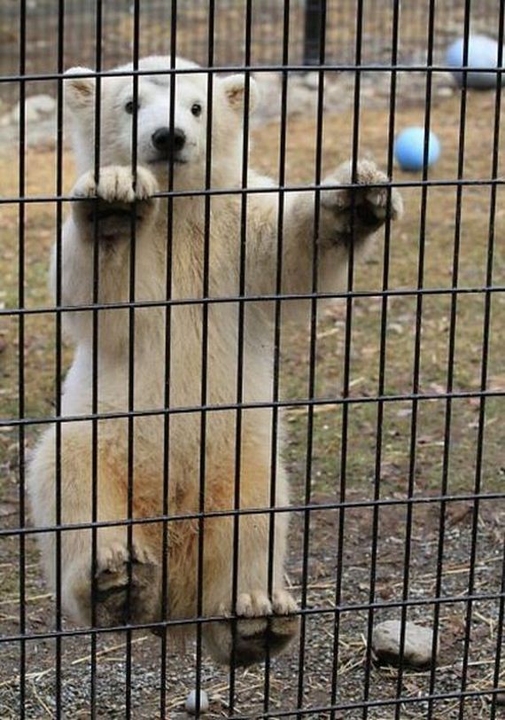 funny-pictures-459