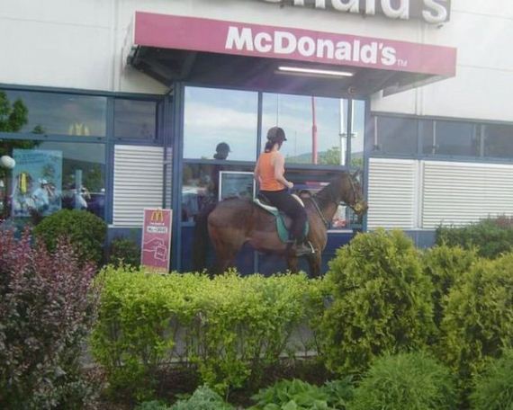 funny-pictures-459
