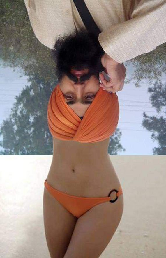 funny-pictures-459
