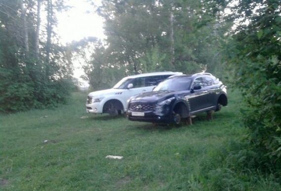 funny-pictures-459