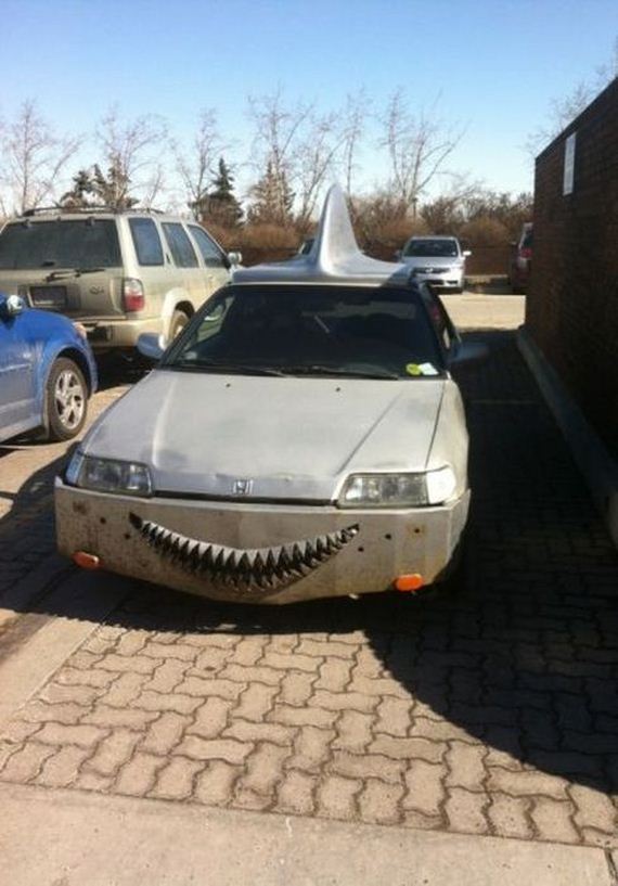 funny-pictures-460