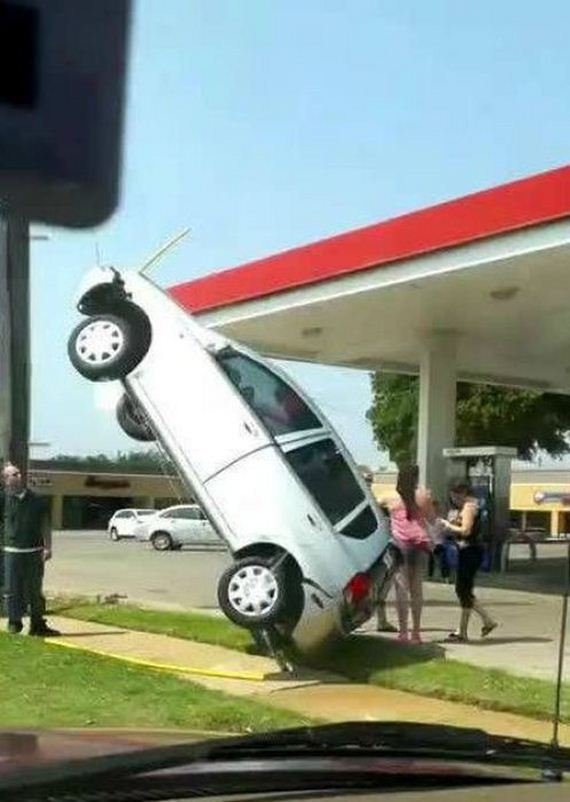 funny-pictures-460