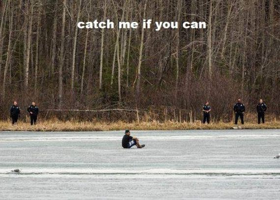 funny-pictures-460