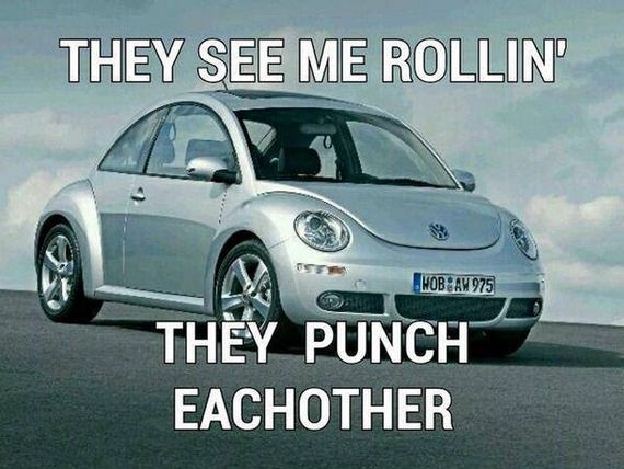 funny-pictures-460