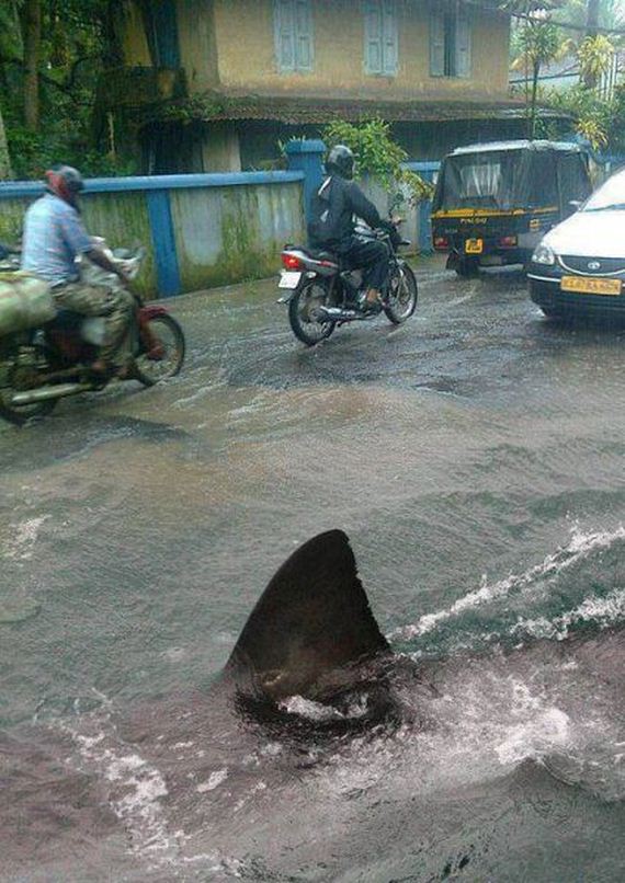 funny-pictures-461