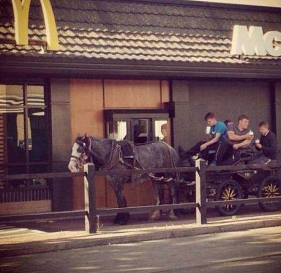 funny-pictures-461