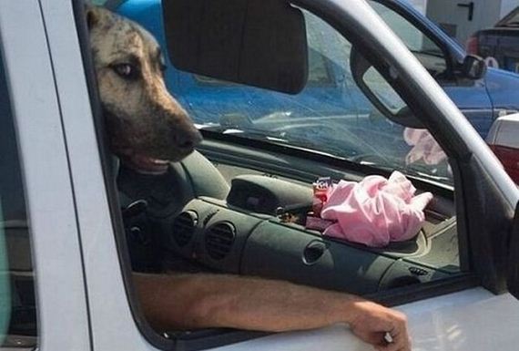 funny-pictures-461