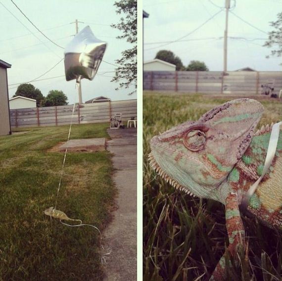 funny-pictures-461