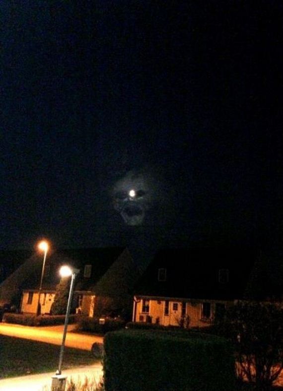 funny-pictures-461