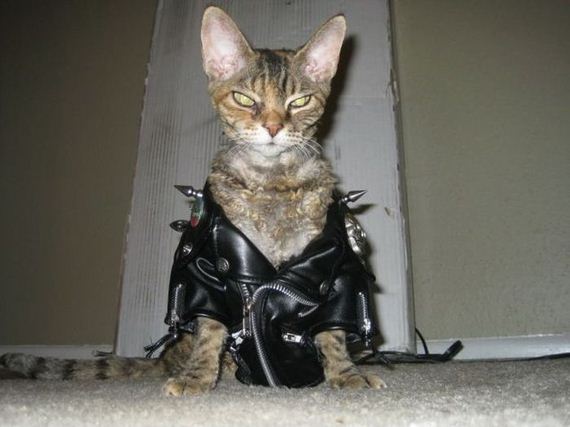 funny-pictures-462