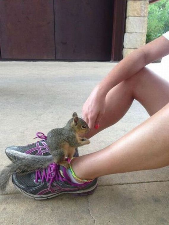 funny-pictures-462