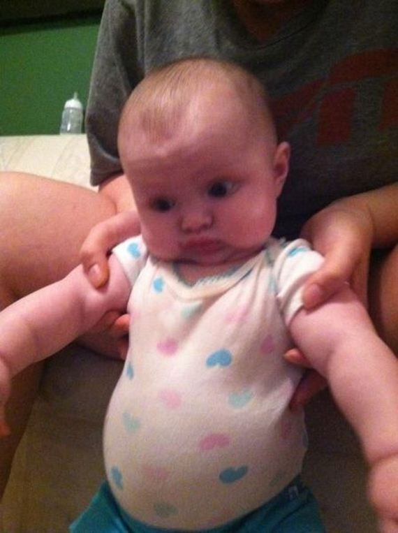 funny-pictures-462