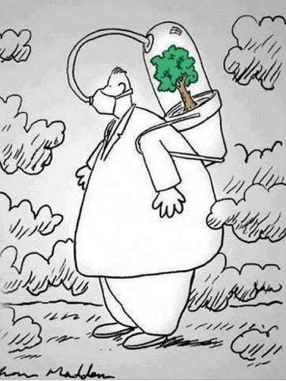 funny-pictures-462