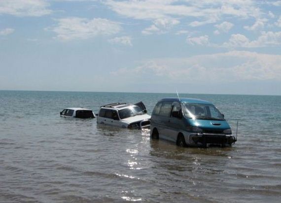funny-pictures-463