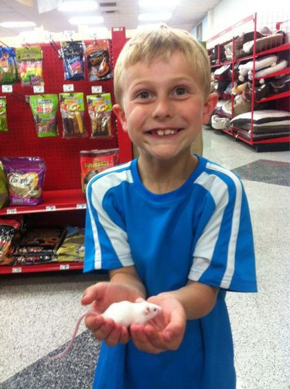 funny-pictures-463