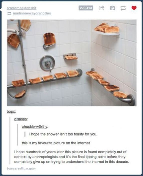 funny-pictures-463