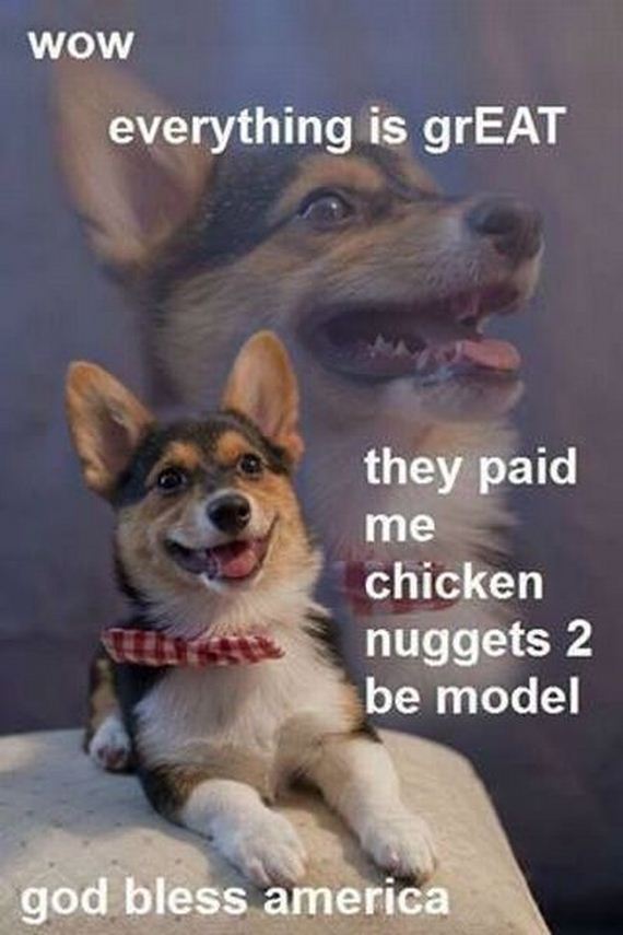 funny-pictures-463