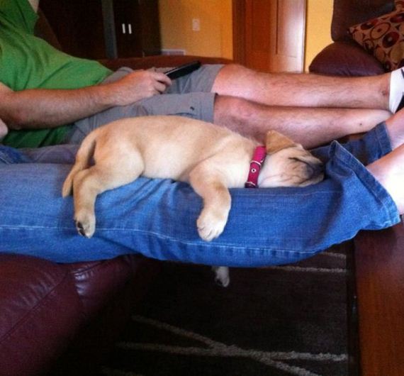 funny-pictures-463