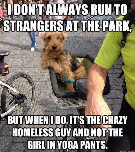 funny-pictures-463
