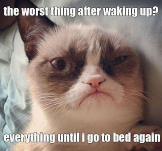 funny-pictures-464