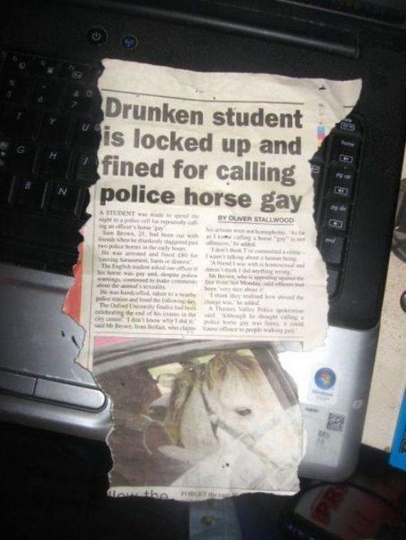 funny-pictures-464