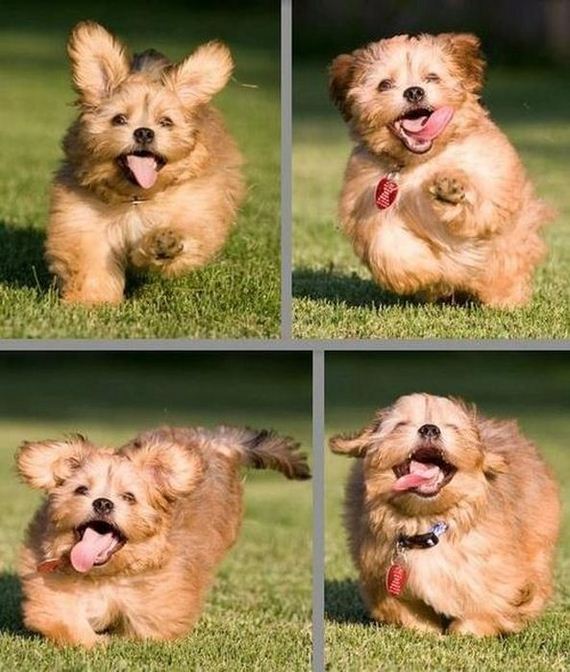 funny-pictures-464