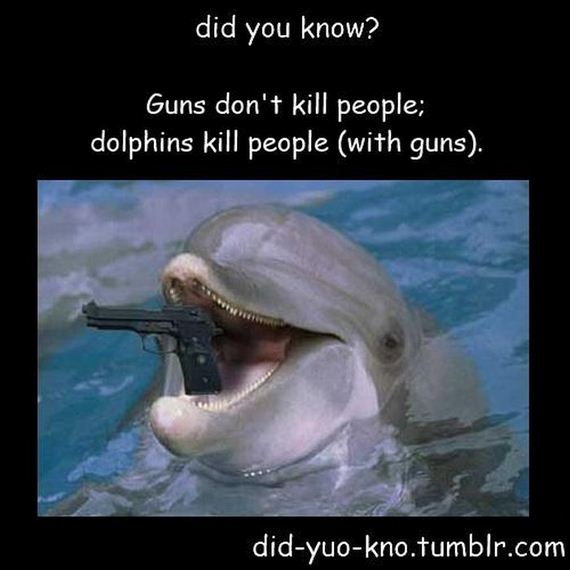 funny-pictures-464