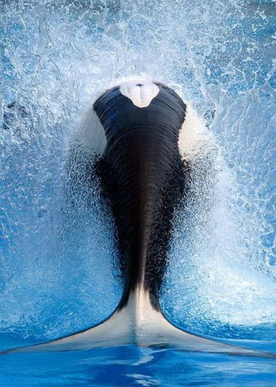 funny-pictures-464