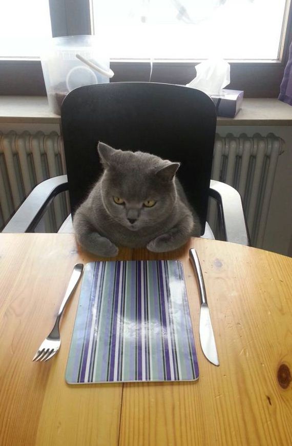 funny-pictures-464